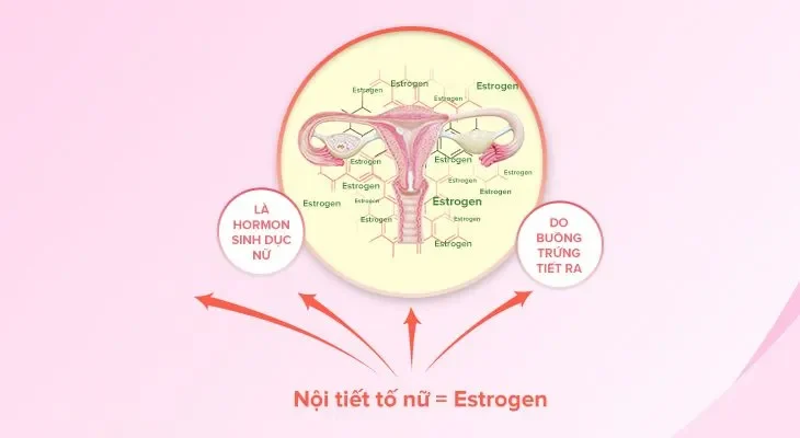 Chế độ ăn uống "vàng" cho nội tiết tố