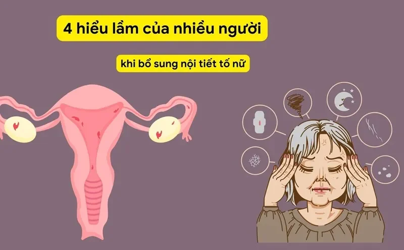 Chưa thực sự hiểu rõ về nội tiết tố và vai trò của nó