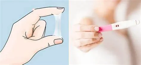 Dịch âm đạo bình thường biểu hiện ra sao