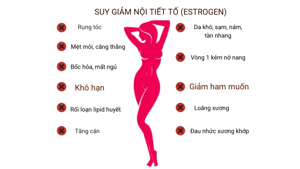 Estrogen là gì? Định nghĩa cơ bản