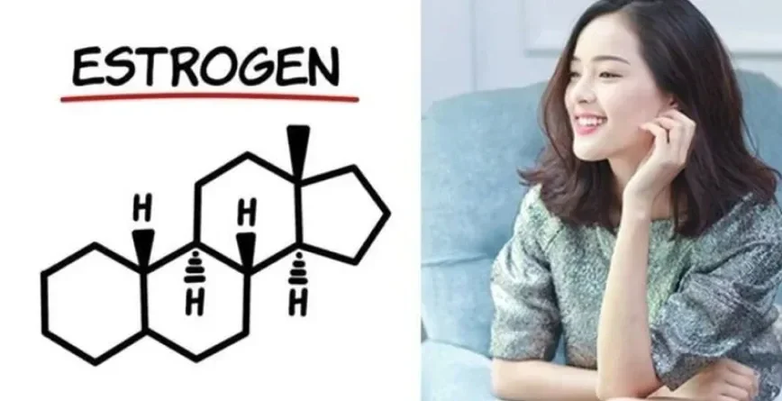 Estrogen là gì
