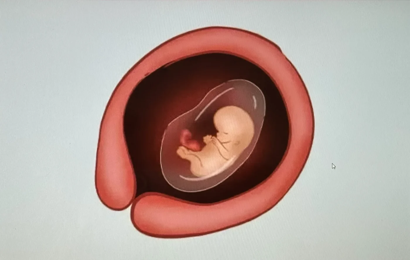 Làm thế nào để duy trì cân bằng nội tiết tố nữ?