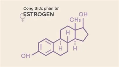 Những yếu tố ảnh hưởng đến mức độ Estrogen