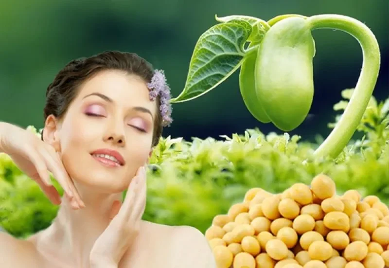 Nội tiết tố - "Nhạc trưởng" thầm lặng của cơ thể và mối liên hệ với tuổi xuân