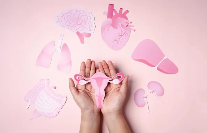 Nội tiết tố nữ là gì? Hiểu một cách đơn giản nhất