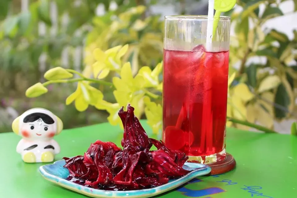 Phụ nữ đang mang thai hoặc cho con bú: "Tuyệt đối tránh xa"