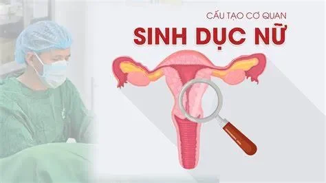 Suy tuyến sinh dục nữ
