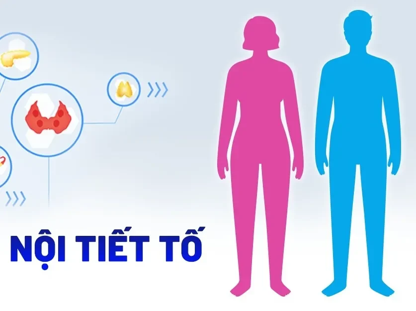 Vận động "vừa đủ" - chìa khóa vàng cho sức khỏe nội tiết
